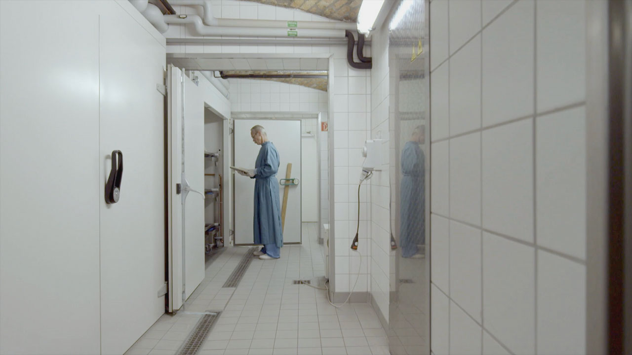 Formalin und Spiritus (Spirit of a Dissection)
