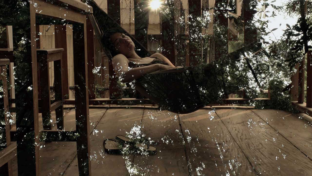 Le seuil de la forêt (The Forest's Threshold)