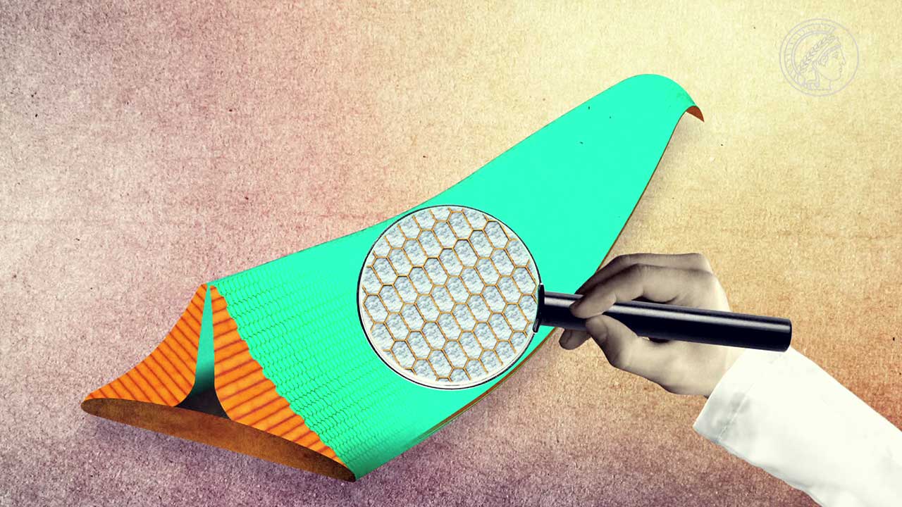 Biomaterials: Patent Solutions from Nature