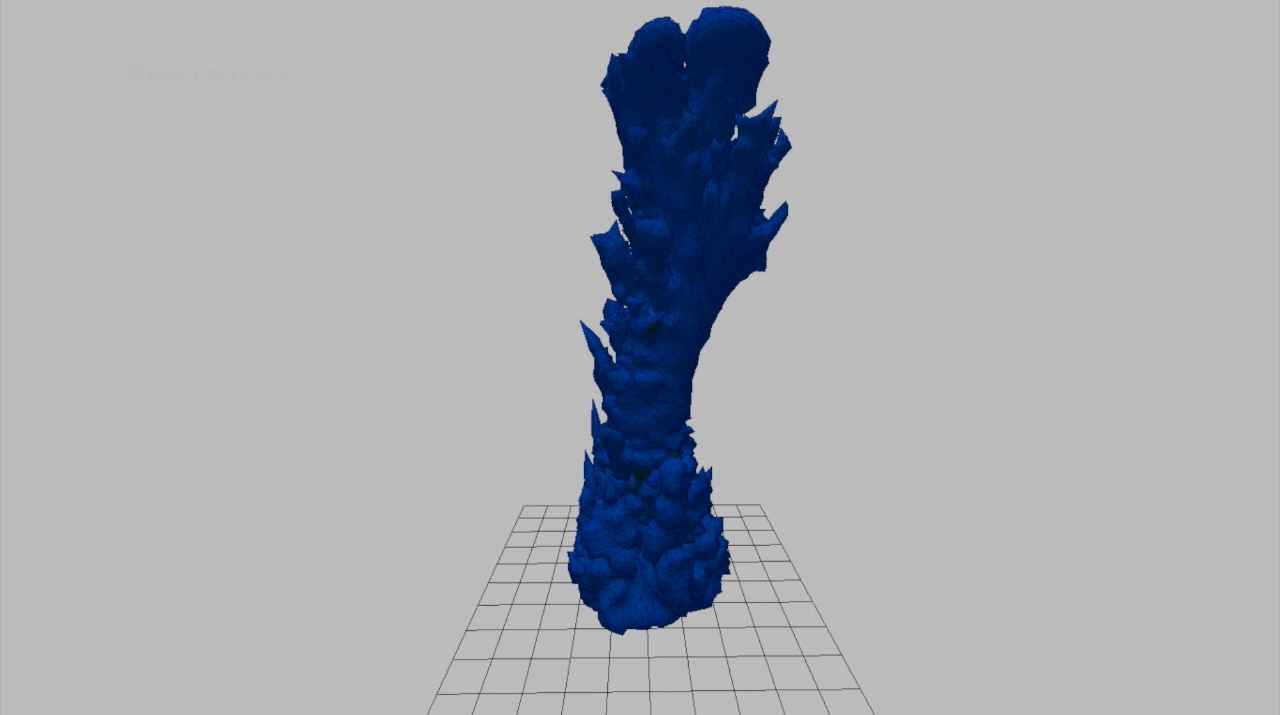 Coral Species 1 Evolution