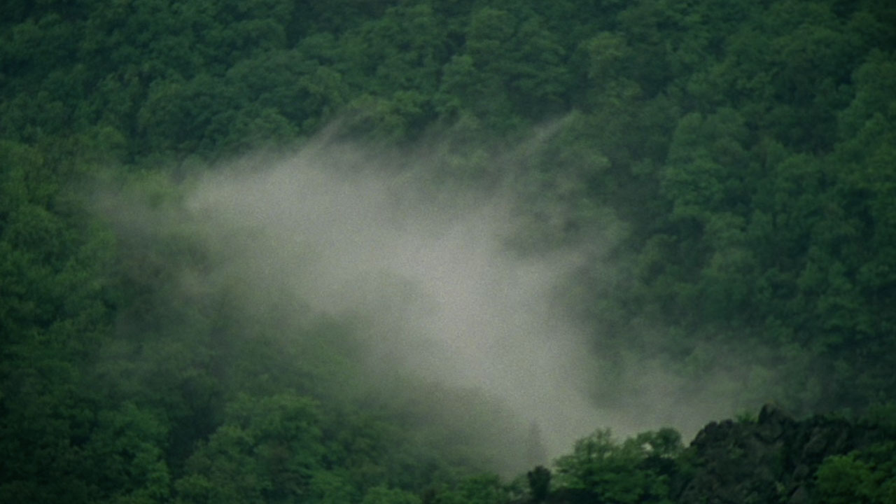 nebel (fog)