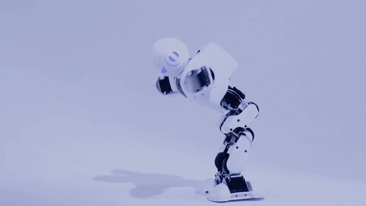 The Human Robot