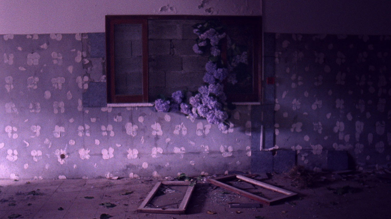 Flores