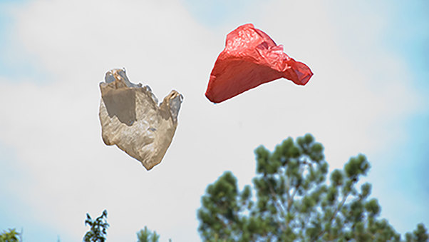 Plastic Bag