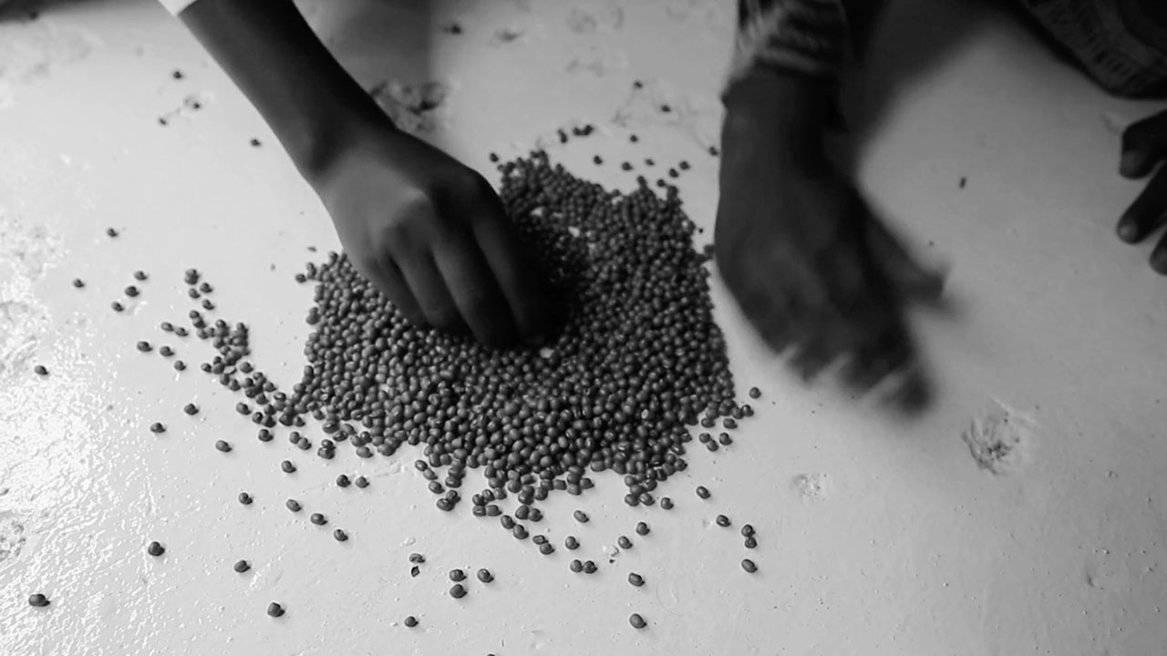 Seeds