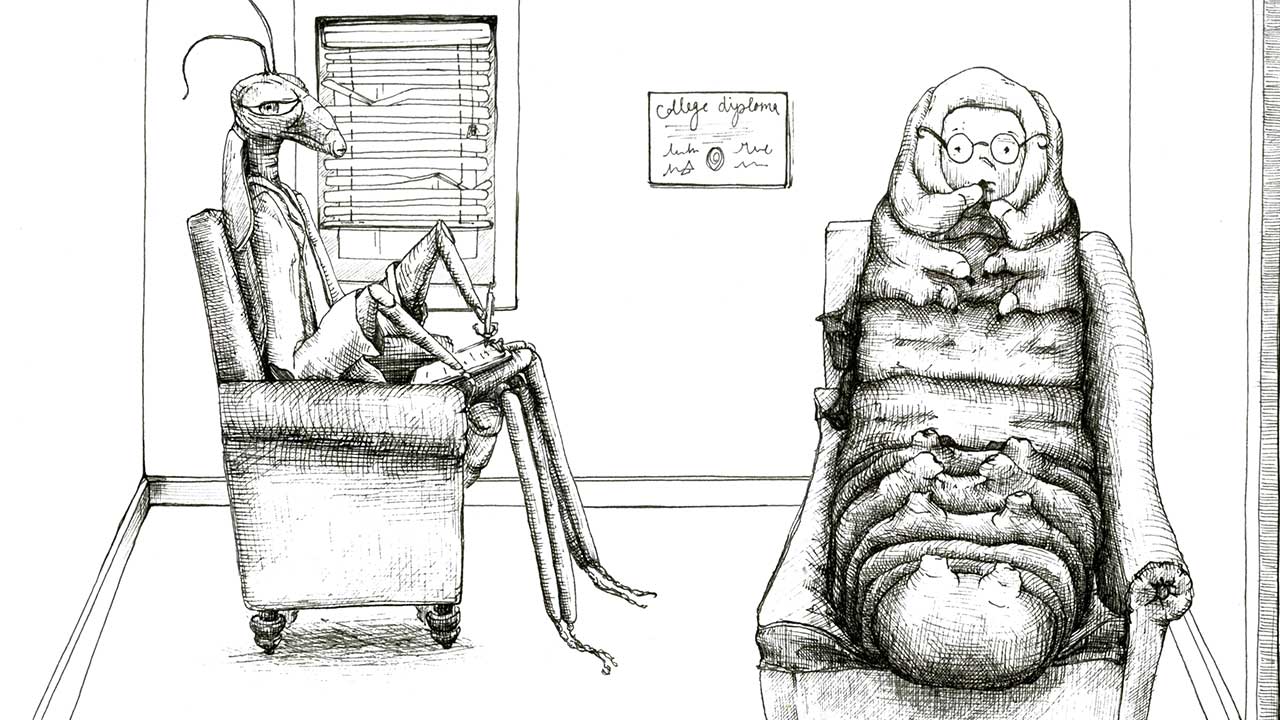 Dr. Mantis: Insect Analyst