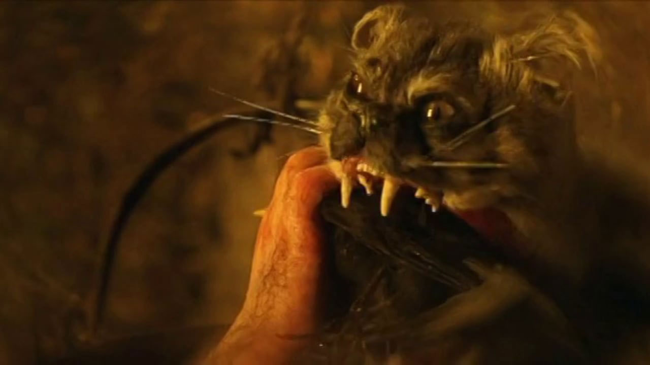 The Cat with Hands