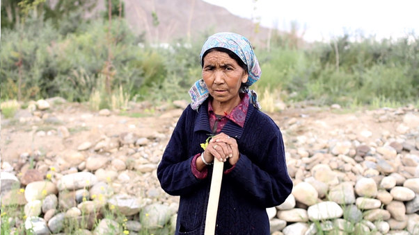 The Catalysts of Change: Adapting to changing weather in Ladakh
