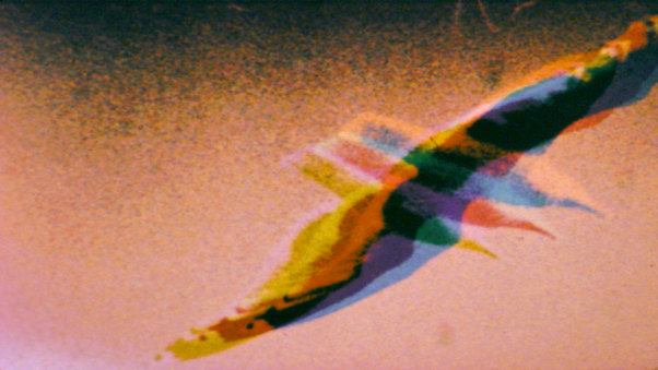 Tracing Birds in Isolation