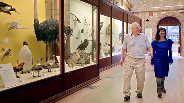 When Björk Met Attenborough