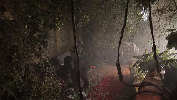 Primate Cinema: Apes as Family