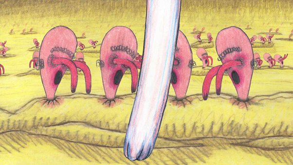 Bottom Feeders