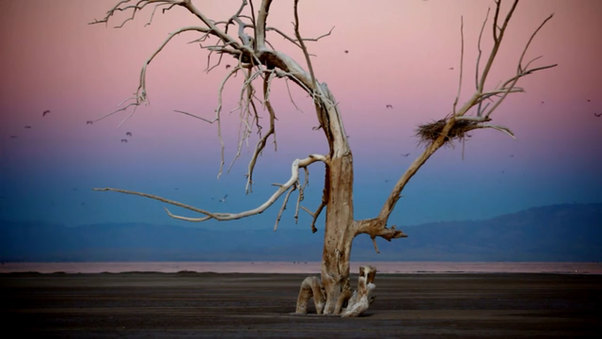 America's Dead Sea