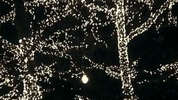 The Moth and The Firefly