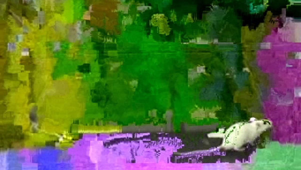No IMG