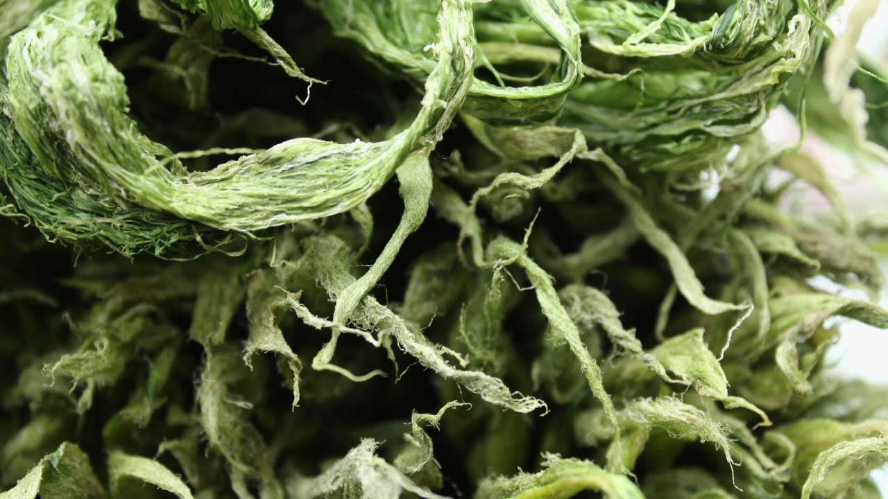 Green Matters