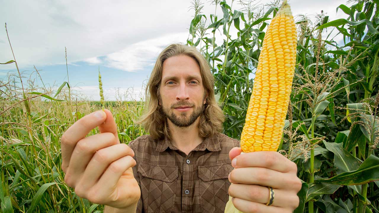 Popped Secret: The Mysterious Origin of Corn