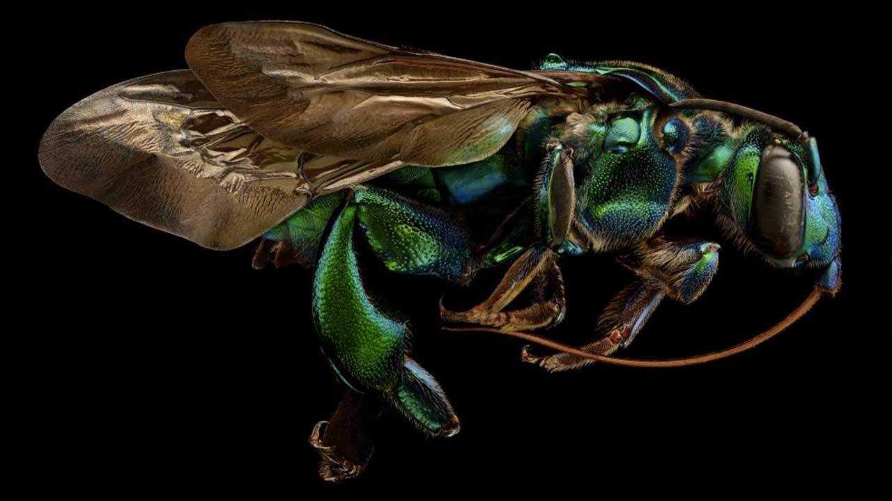 Microsculpture