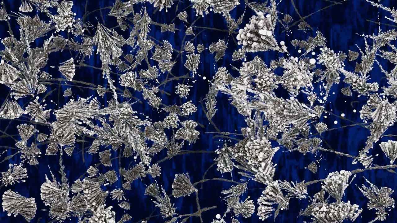 Quantum Fluctuations