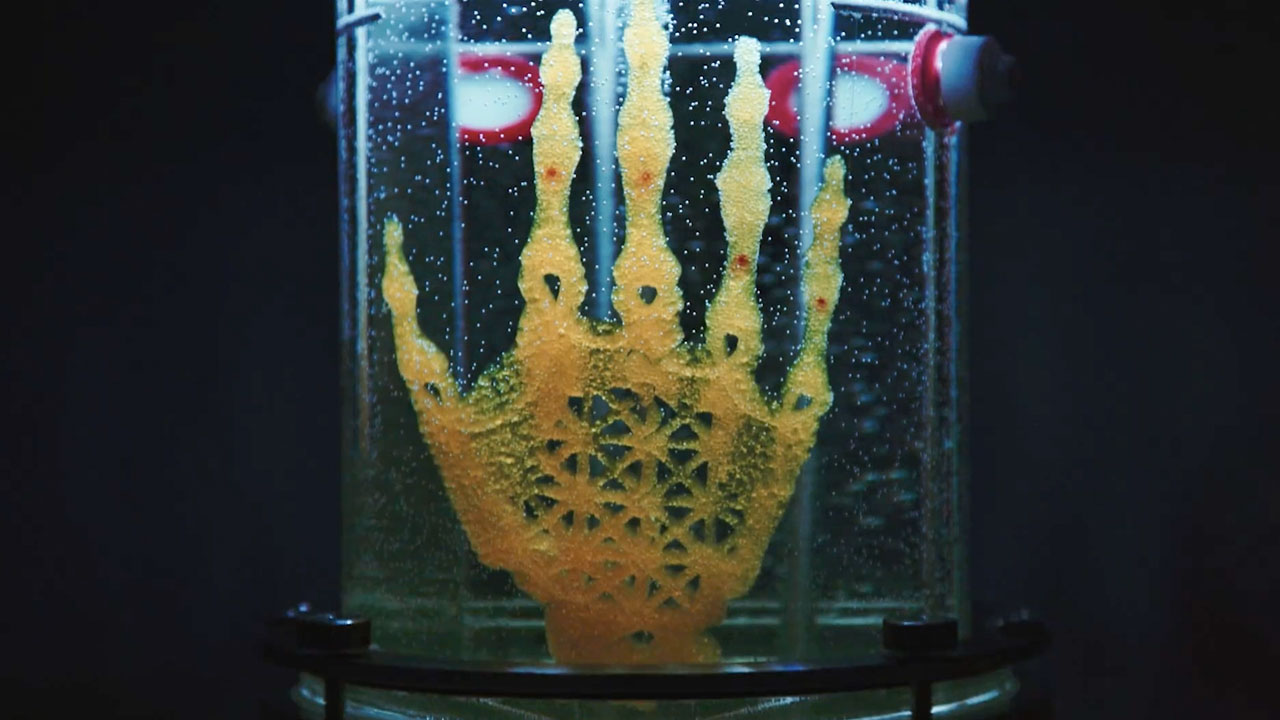 Amy Karle: Bringing Bones to Life