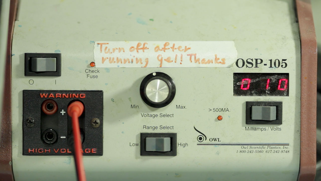 A Powered DNA Electrophoresis Unit