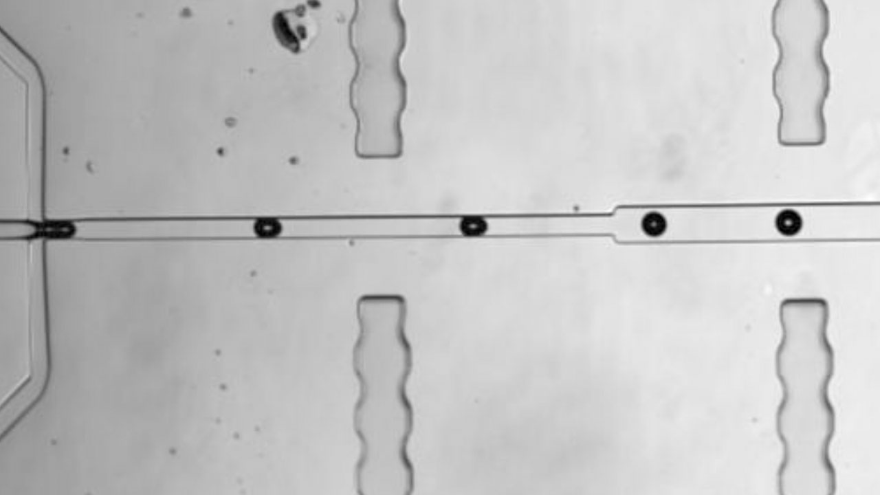 Micro-droplets of Water in Oil