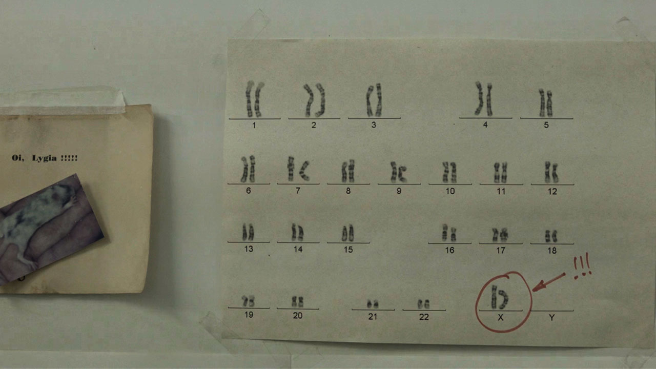 Chromosomal Map Wallpaper & Lygia