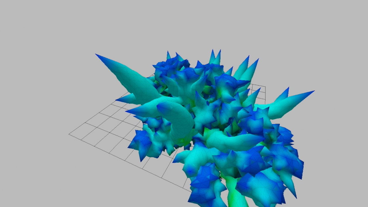Coral Species Evolution Simulation