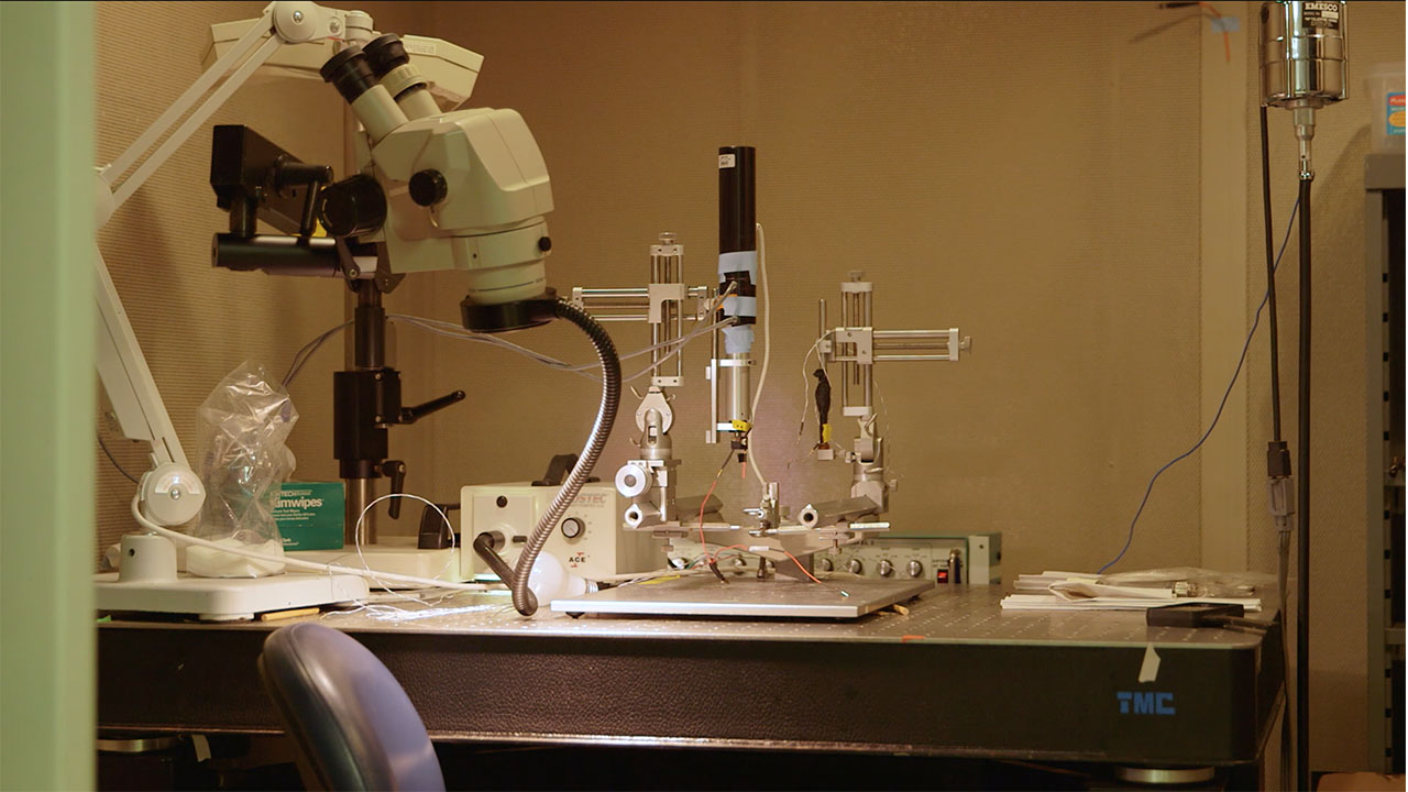 Acute Electrophysiology recording station