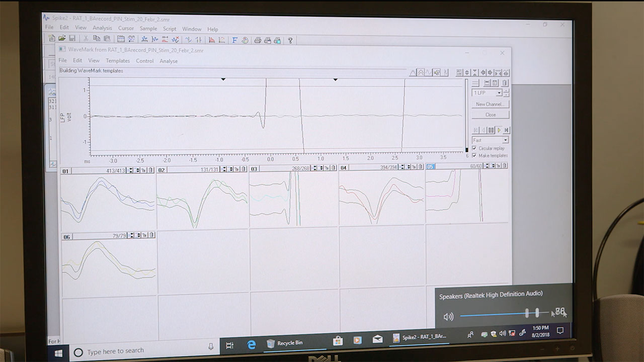 Acute Electrophysiology recording with CED interface