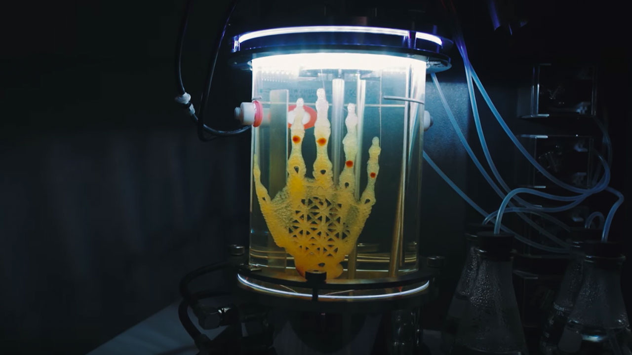 Artificial Life and the Post-Human Filmic Experience