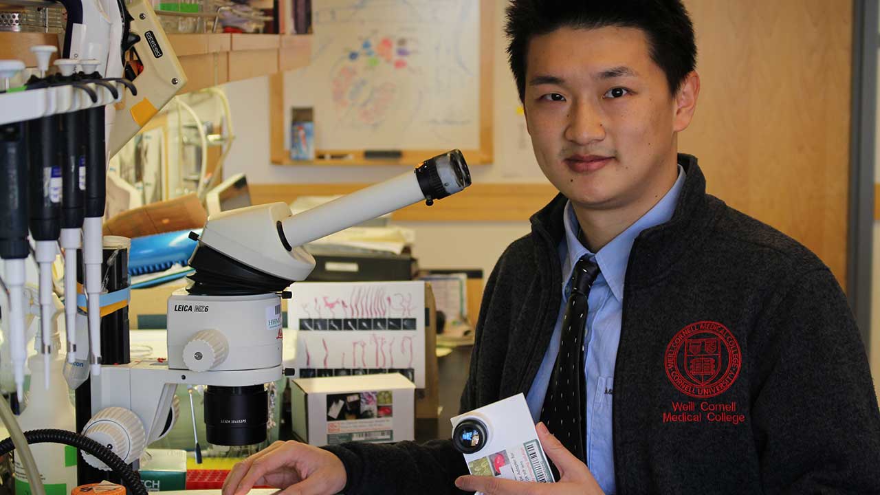 The Moving Microscopic World: 8 Microscopy Films from Scientist Du Cheng