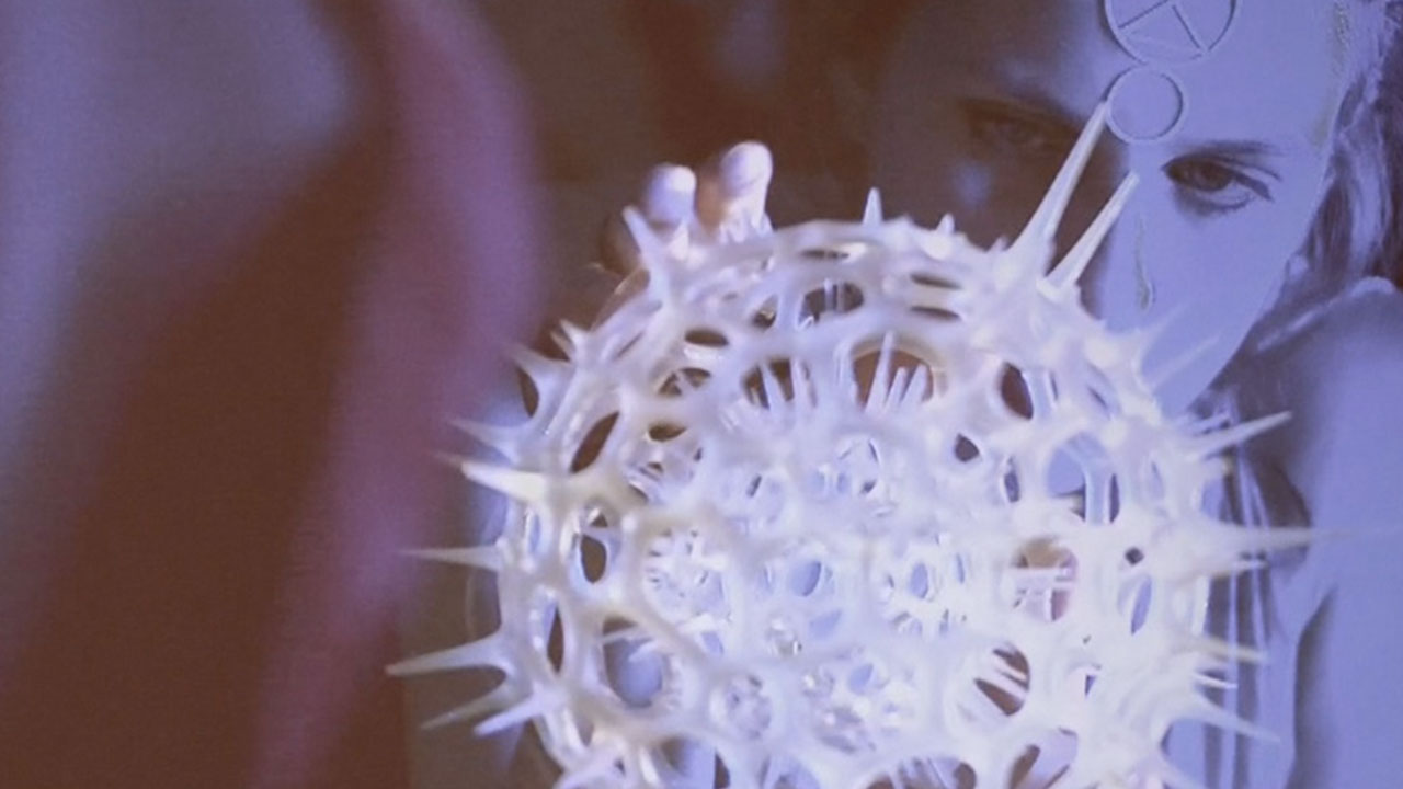 Microscopic Melodramas, A Surrealistic look at Our Oceans in Peril
