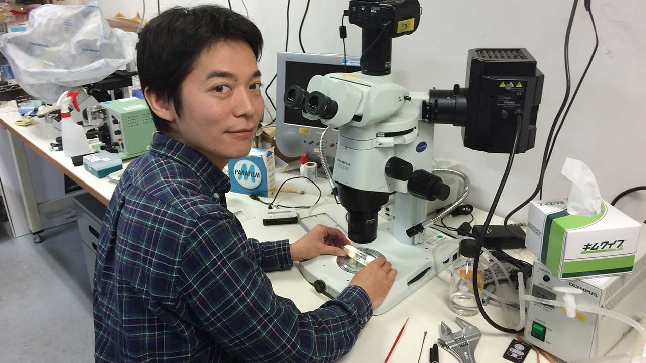 From the Kyoto Botanical Gardens to the Microscope