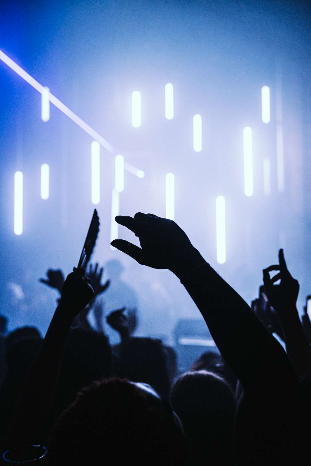 Kevin De Vries Extended Set & Argia