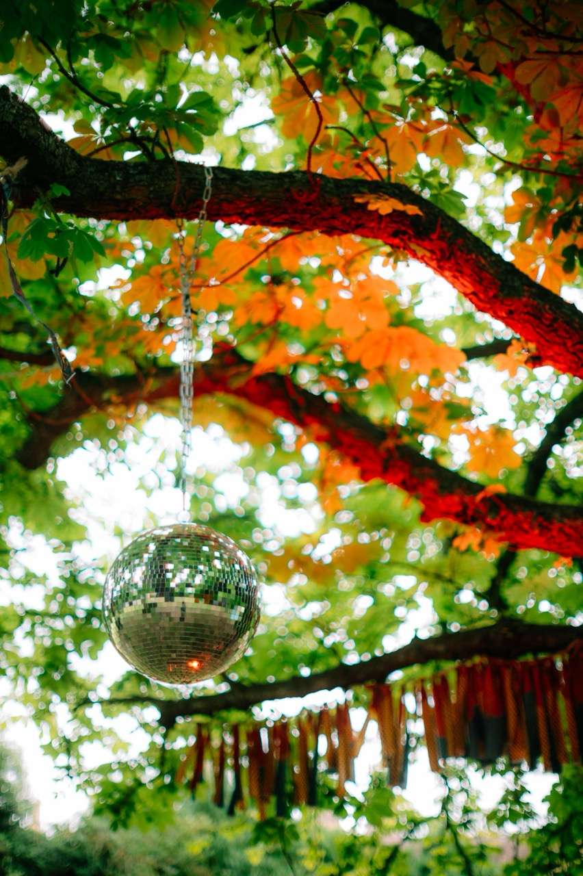 Jungle Curates at Tofte Manor 