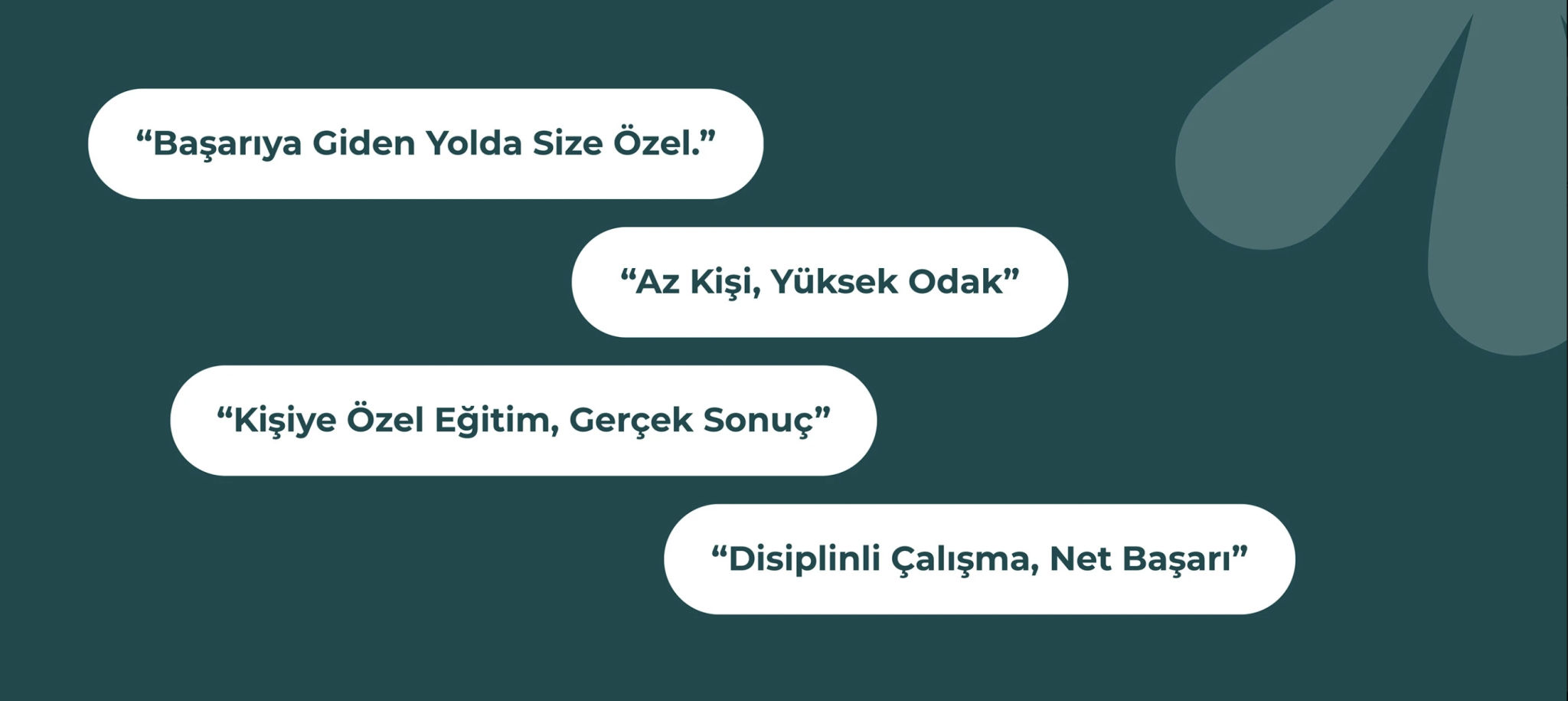Model VIP Kurs slogans