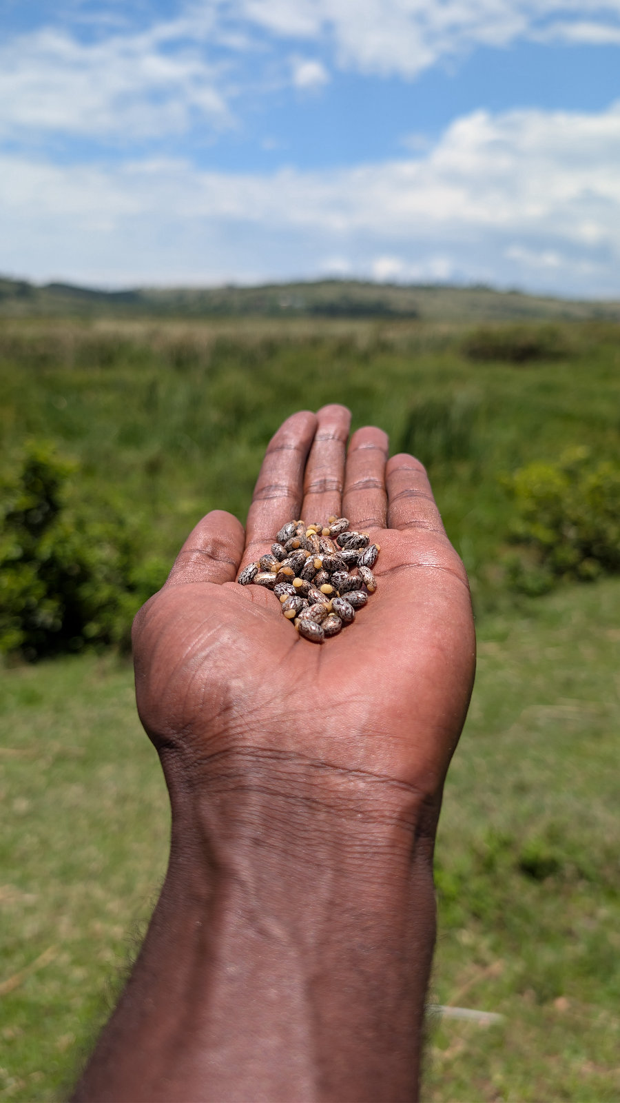 Photo 2 from Walk Across Uganda III