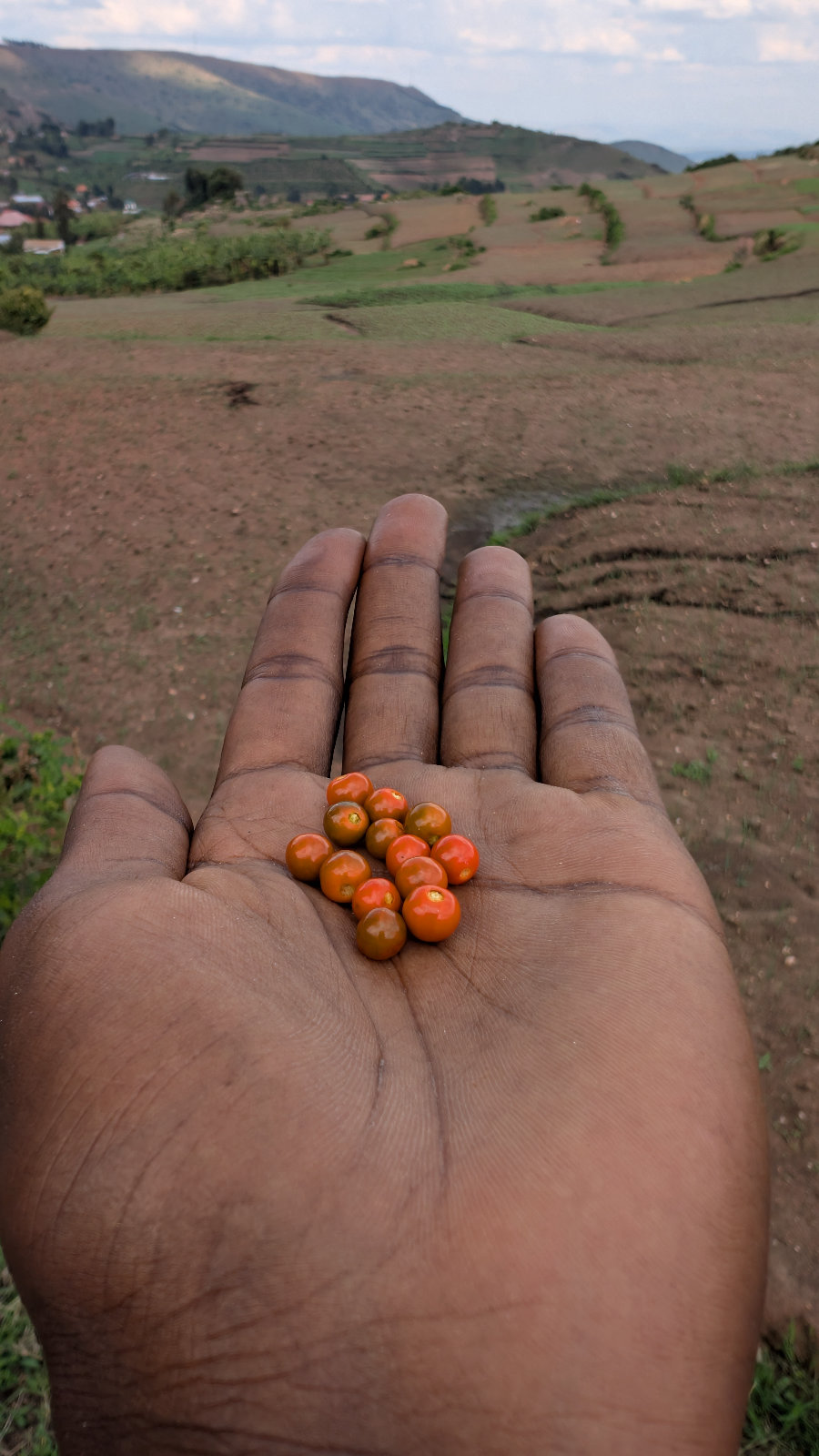 Photo 7 from Walk Across Uganda III