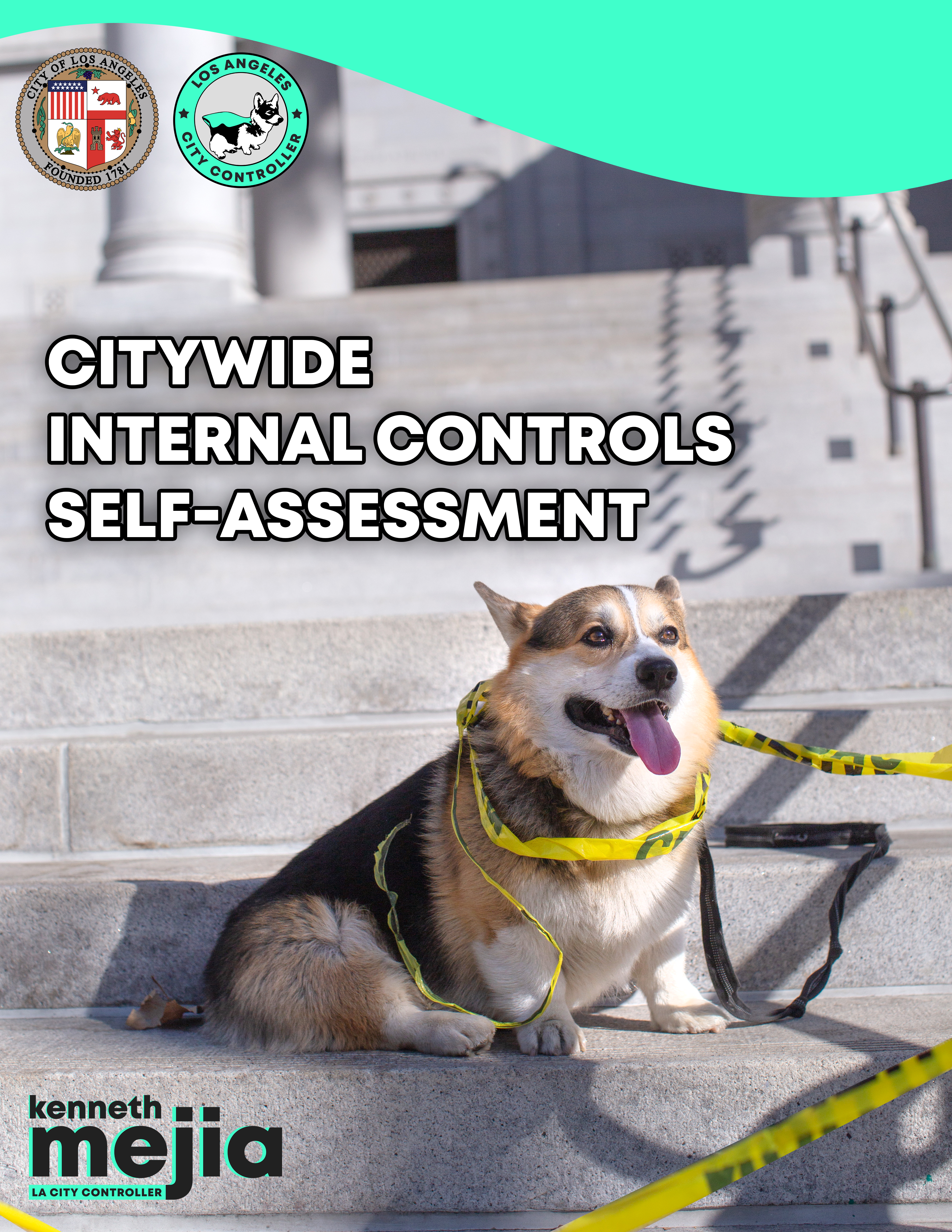 Citywide Internal Controls Self-Assessment