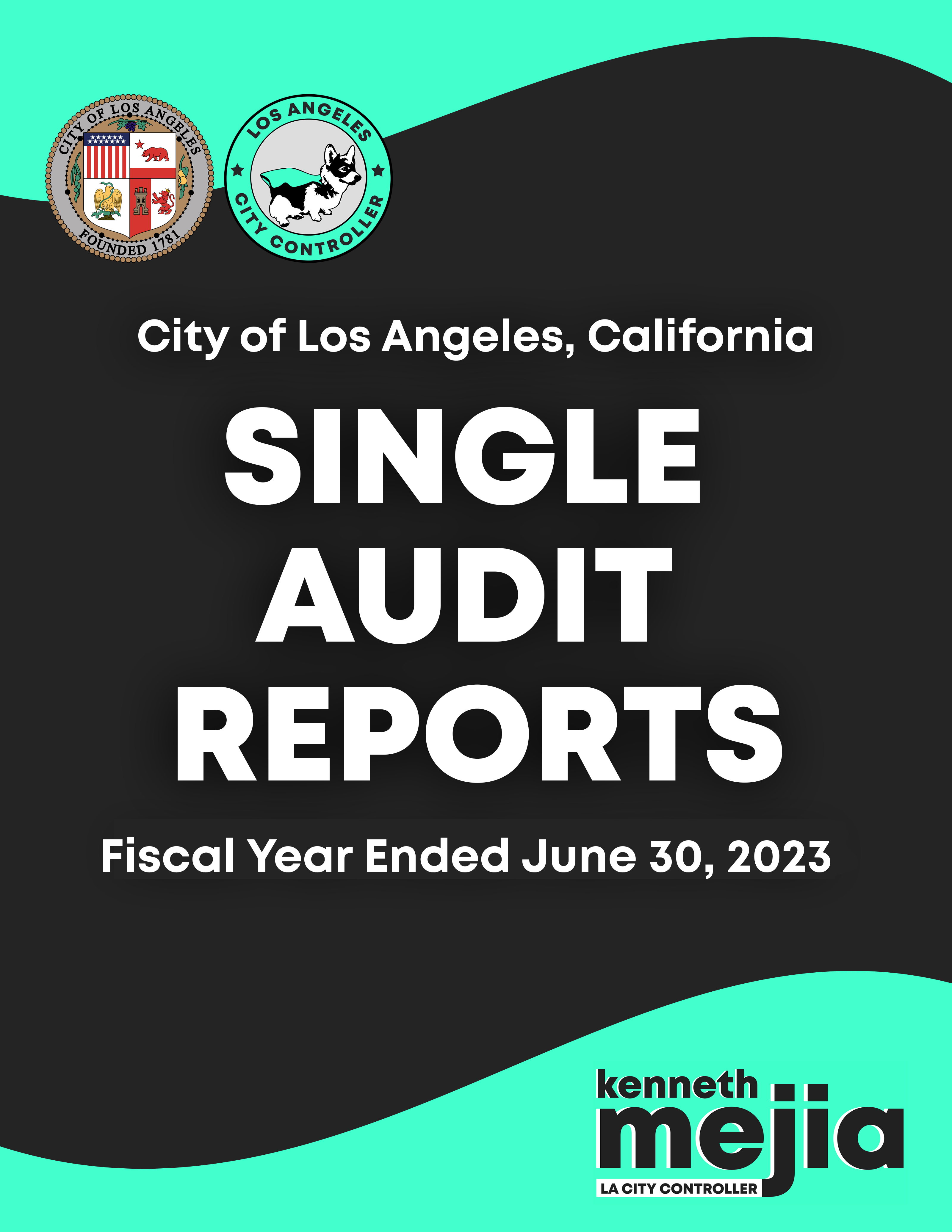 FY 2023 Single Audit Reports