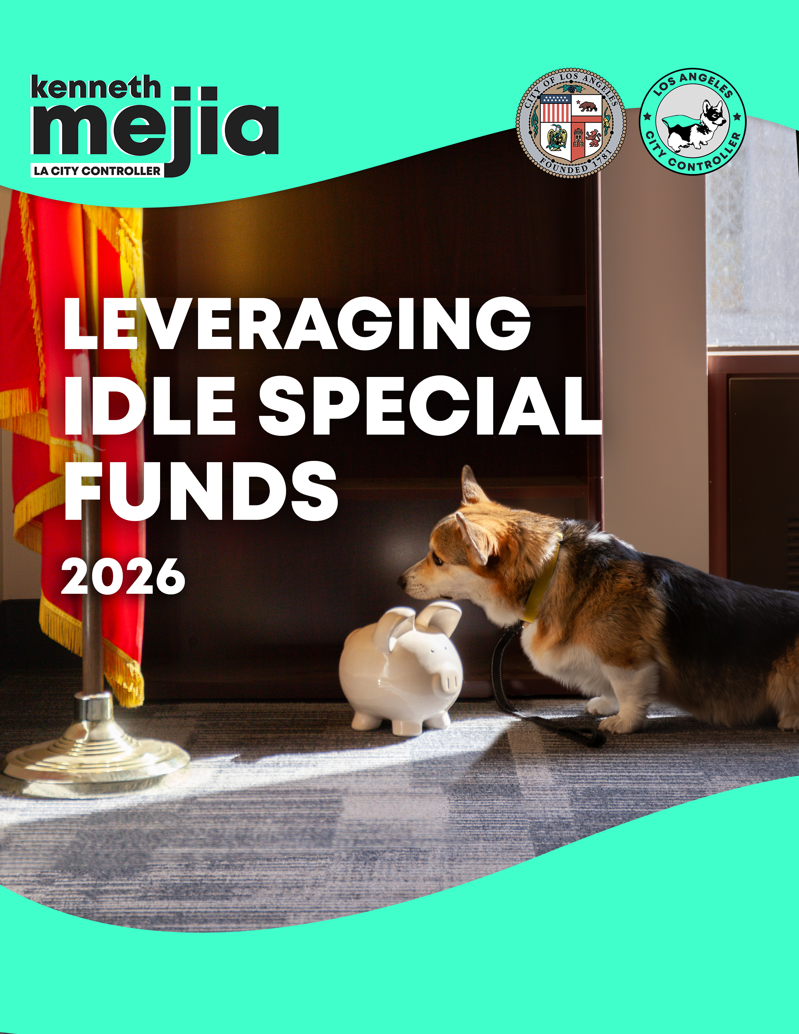 Cover photo Leveraging Idle Special Funds 2026