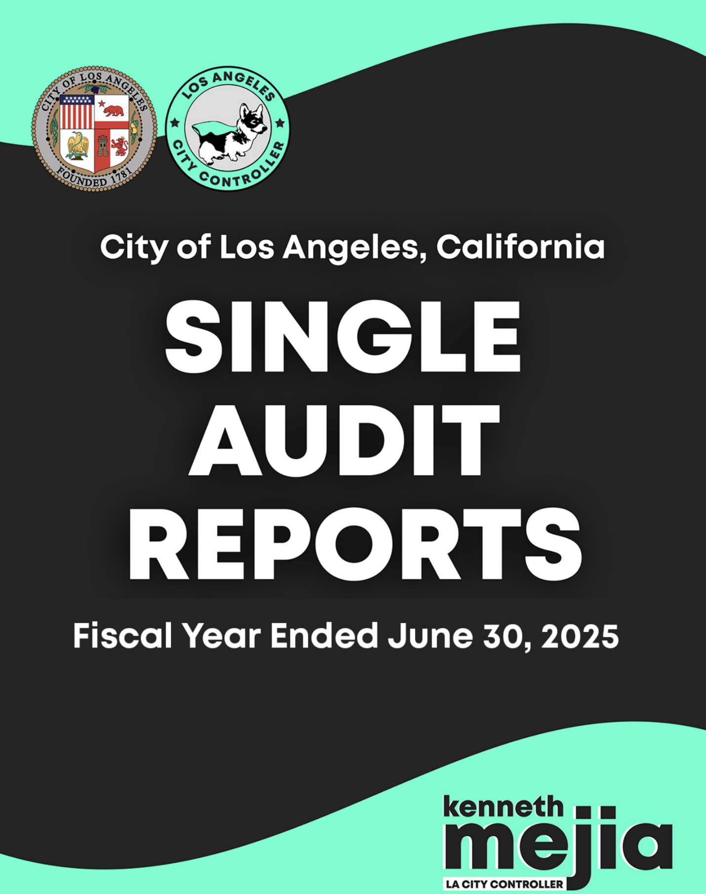 FY 2025 Single Audit Reports