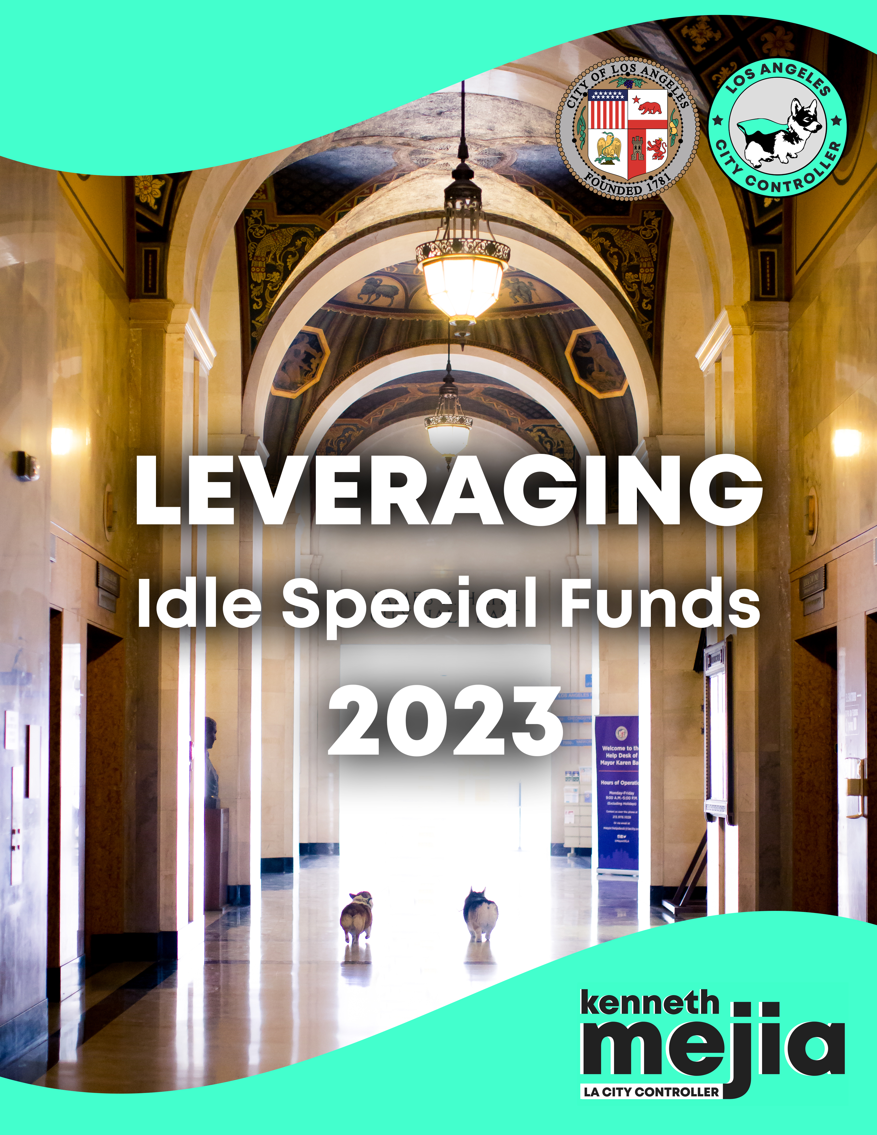 Cover photo Leveraging Idle Special Funds 2023