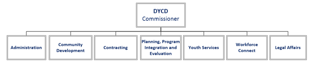 Youth Dev Report Graphic New York City Department of Youth and Community Development Organizational Structure