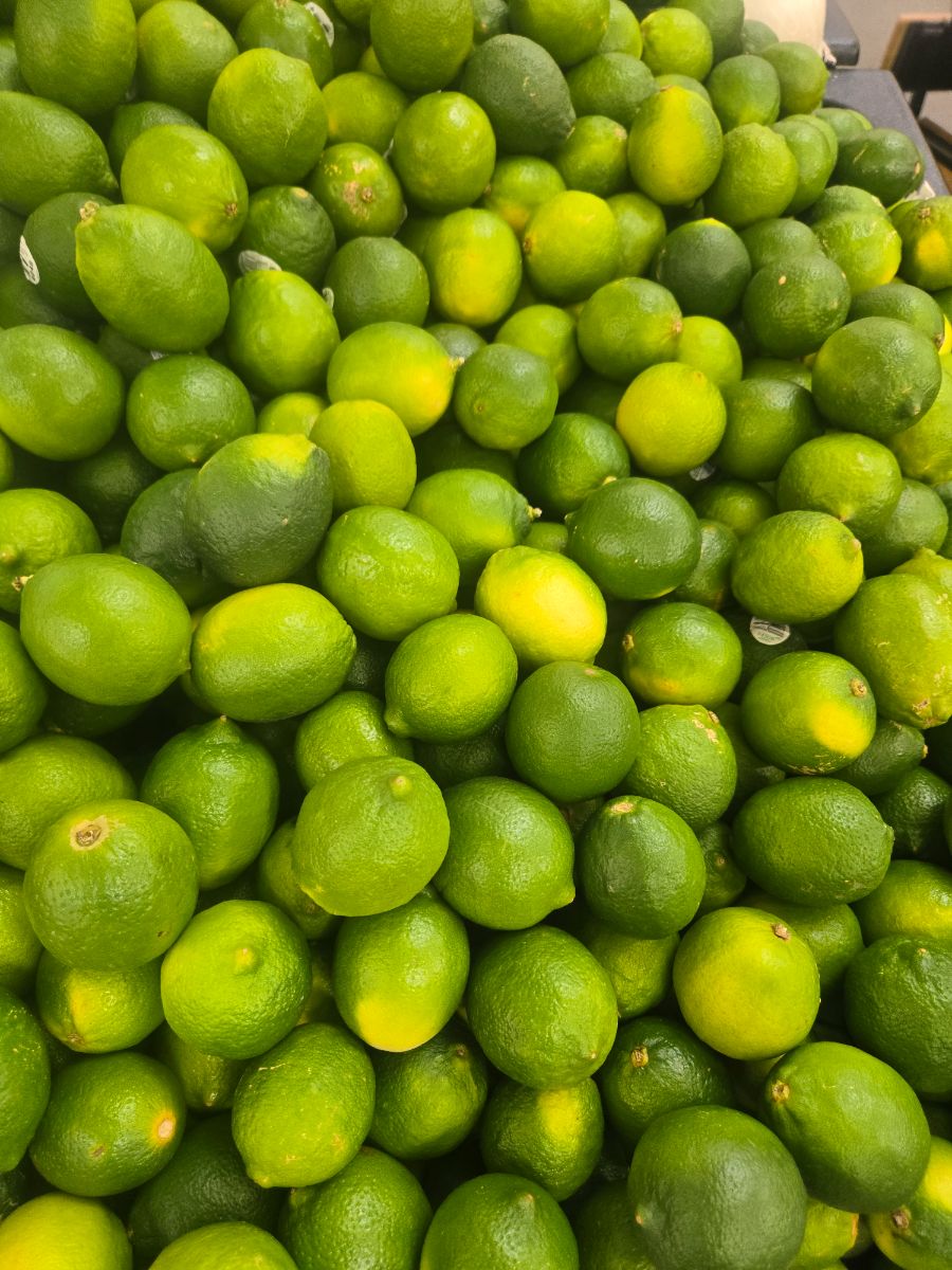 Lime Persian