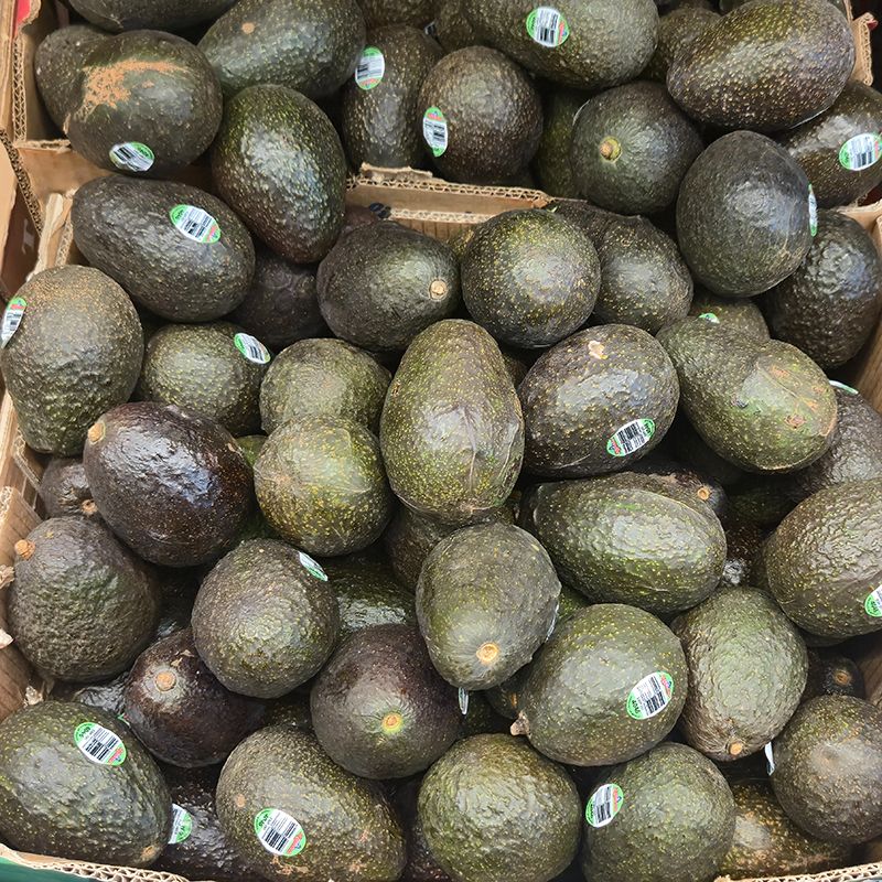 Avocados