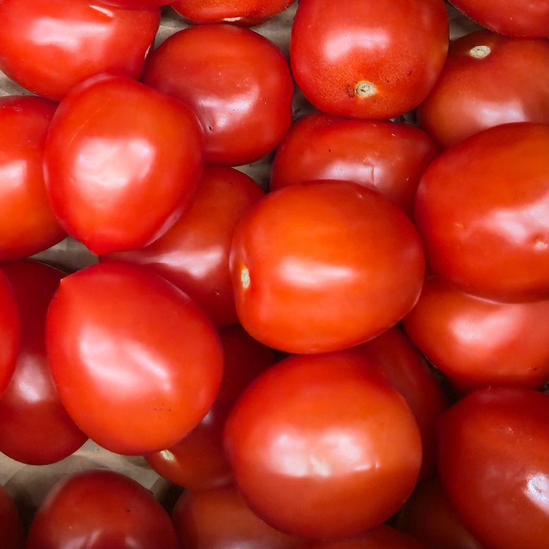 Fresh Roma Tomato Each