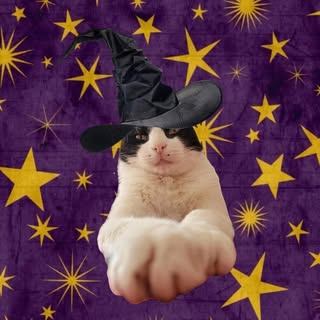 Logo de LA FUERZA DEL TAROT