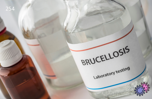 Brucella IgM, Serum Test